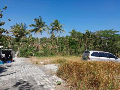 Tanah Murah Kulonprogo Jogja Dekat Kampus Alma Ata Baru SHM Pekarangan