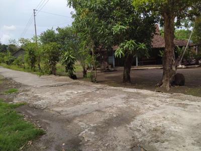 Tanah Pekarangan Jakal KM 8 Dekat Kampus UGM Cocok Untuk Rumah Hunian