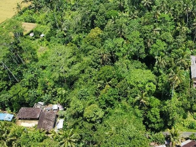 Dijual Tanah Lokasi Strategis View Hutan Jungle di Tampak Siring