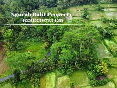 Dijual Tanah Murah Luas 1500 m2 View Sawah Deket Wisata Rafting