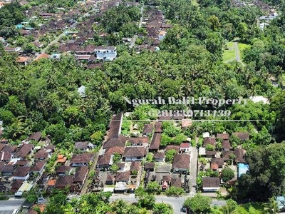 Disewakan Tanah Luas 30,70 Are View Kebun Kawasan Villa di Ubud