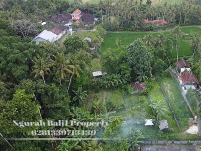 Jual Tanah Murah Luas 500 Are View Sawah dan Sungai di Ubud