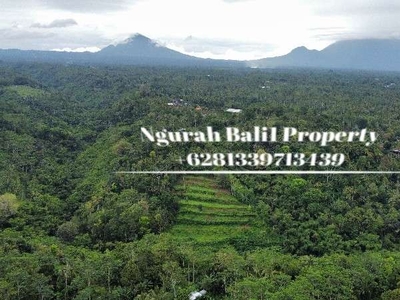 Land For Sale Murah Luas 10500 m2 View Sungai dan Gunung
