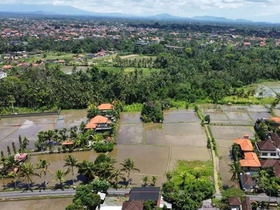 Murah Tanah 500 m2 View Persawahan Kawasan Restorant di Ubud Bali