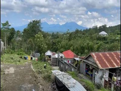 Tanah Prime View Gunung Di Utama Penelokan Batur Kintamani Bangli