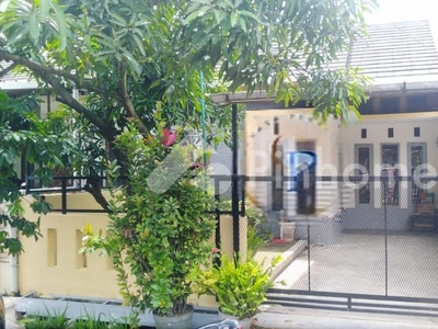 Disewakan Rumah Minimalis Siap Huni di Sayap TKi Bandung Rp25 Juta/tahun | Pinhome