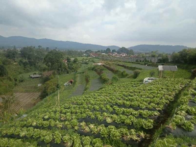 Tanah Murah Lembang Di Bandung Barat