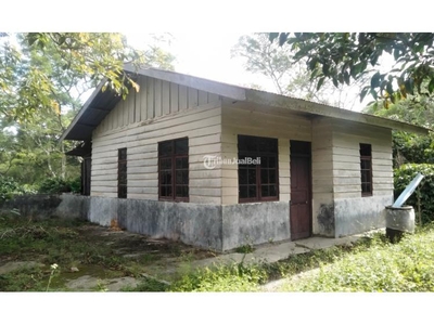Dijual Rumah dan Perkebunan Kopi Legalitas SHM Luas 5185 m2 - Aceh Tengah