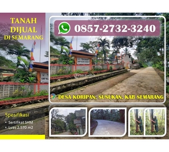 Dijual Tanah Perkebunan Murah di Kecamatan Susukan - Semarang Jawa Tengah
