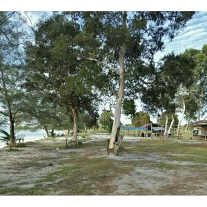 Jual Tanah Los Pantai Luas 4 Hektare di Pegantungan - Belitung