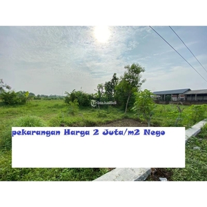 Jual Tanah Sawah Luas 2614m2 Dekat Lapas Cebongan - Sleman Yogyakarta