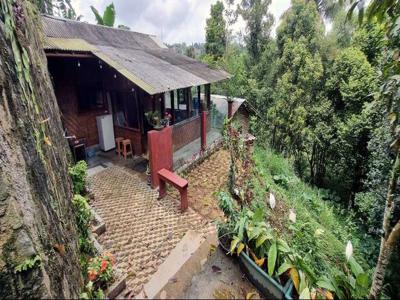 Sewa Murah Villa Bambu Jid 2BR/1KM Cisarua Puncak Bogor