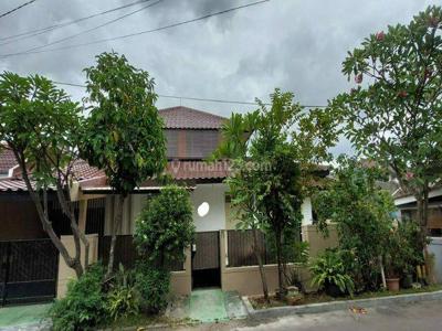 Disewakan Rumah Besar Rapi Dan Asri, Camar Sektor 3 Bintaro Jaya