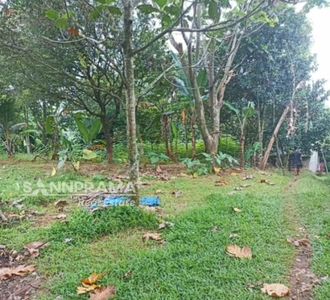 Tanah Dijual Jampang Kalisuren Cocok Dibangun Cluster Mngdr-bks