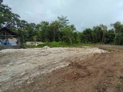 Tanah Murah Cocok Untuk Hunian Di Pleret Bantul Shm Pekarangan