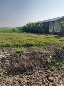 Tanah Sawah Produktiv Dan Strategis