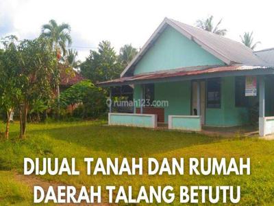 Dijual Cepat Tanah Bonus Rumah Lokasi Talang Betutu