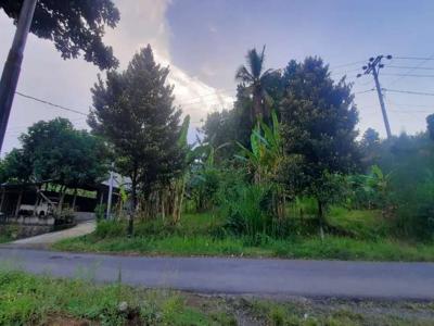 Dijual Tanah 5,4 Are di Melaya, Jembrana