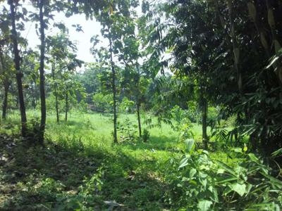 DIJUAL TANAH DI CIPATAT, DEKAT SAGULING, KAB BANDUNG BARAT