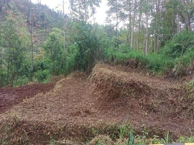Jual Tanah Murah Untuk Villa Wisata Pasir Jambu Ciwidey