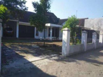 Tanah Luas Bonus Rumah di Maguoharjo