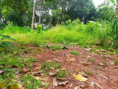 Tanah Murah Pamulang, Dekat Universitas Unpam, Garansi Untung