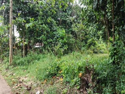 Tanah Murah Siap Bangun Lokasi Strategis Area Cileungsi Bogor