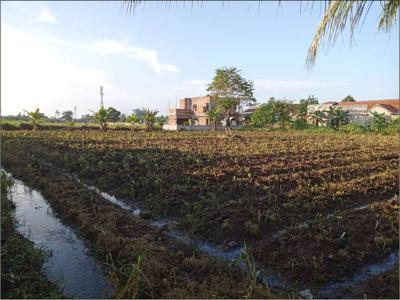 Dijual Tanah Murah Area Bogor Dekat Kampus IPB Dramaga