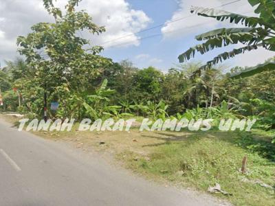 Tanah Barat Kampus UMY, Tepi Jalan Aspal, Sleman, Yogyakarta