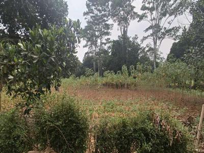 Tanah Kavling Murah, Hanya 9 Menit Ke Taman Jasmin Cisauk Terima SHM