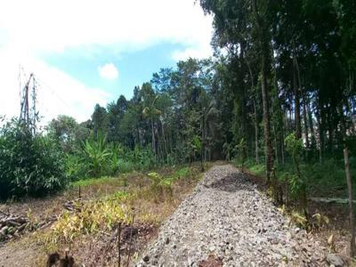 Tanah Murah Dekat Sabhara Polda Jateng di Mijen Semarang