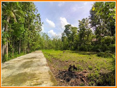 Tanah Murah Panjatan Dekat Polres Kulon Progo, Siap Akad