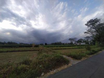 Tanah Murah Sleman Yogyakarta, Dekat Candi Kalasan, Lokasi Nyaman