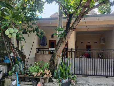 Dijual Cepat Rumah Perumahan Permata Safira Regency Surabaya
