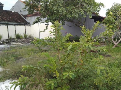 Dijual tanah 3 are di jl.Sekuta Sanur Denpasar Bali