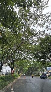 Disewakan kavling premium terdepan di Jakarta Garden City Cakung