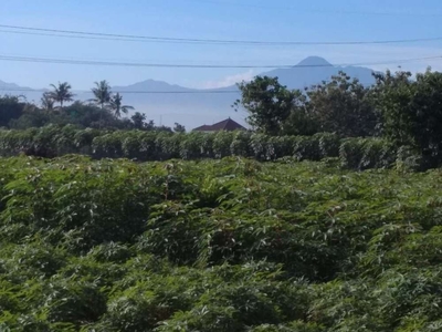 jual tanah di tanah sareal bogor, cocok untuk perumahan.