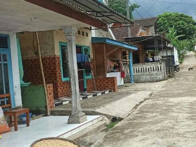 Kebun Durian Full Tajinan Kabupaten Malang