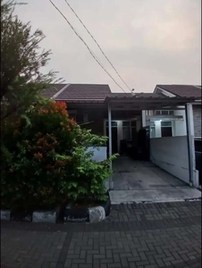 Rumah BCC Bukit Cimanggu City wood