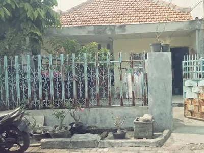 Rumah Sederhana Murah Nginden jaya Sukolilo Surabaya pusat mobil 6X20m