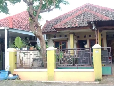 Rumah Singa Supriyadi Pedurungan Dekat Exit toll