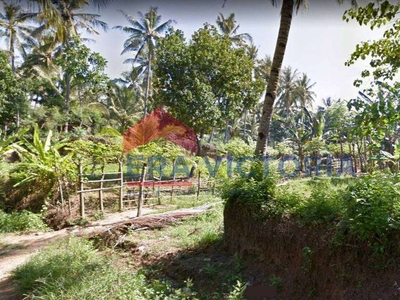Tanah Jl Kamboja, Kalipuro, Banyuwangi, 2 Menit Ke Poros Yos Sudarso