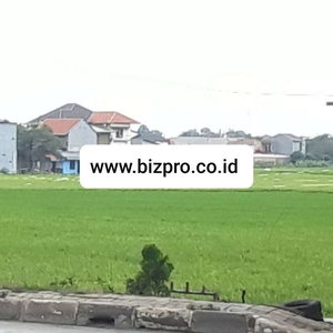 Tanah Kavling Dijual L 1 Hektare di Pinggir Jalan Raya Cikarang Barat