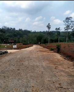 Tanah kavling Semarang bebas banjir