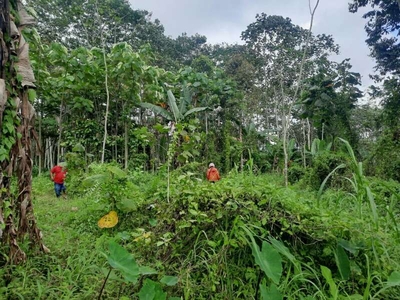Tanah Kebun Gunungronggo Tajinan Malang