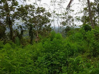Tanah Kebun Harga Kavling Di Tajinan Malang