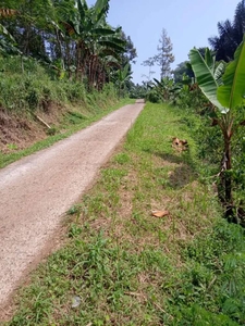 Tanah Kebun Murah akses Mobil sekitar Kota Bunga Puncak