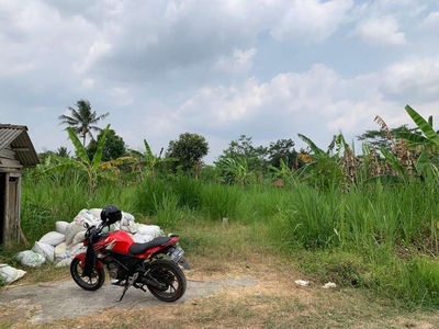 Tanah Sawah hanya 750 Ribu di Palagan KM 14 Cocok Untuk Pertanian