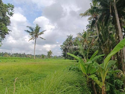 TANAH SEWA SUDAH ADA IMB COCOK KOMPLEK VILLA