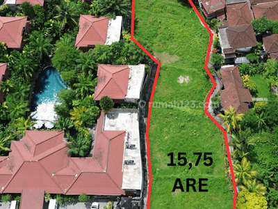 For Sale Leasehold Rare Land Near Ubud Centre At Suweta Ubud